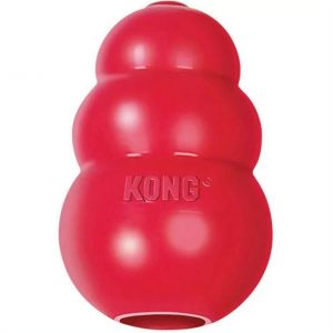 neon-NEON-PA-KONG-CLASSIC-1 Kong Classic Dog Toy, Medium, Red